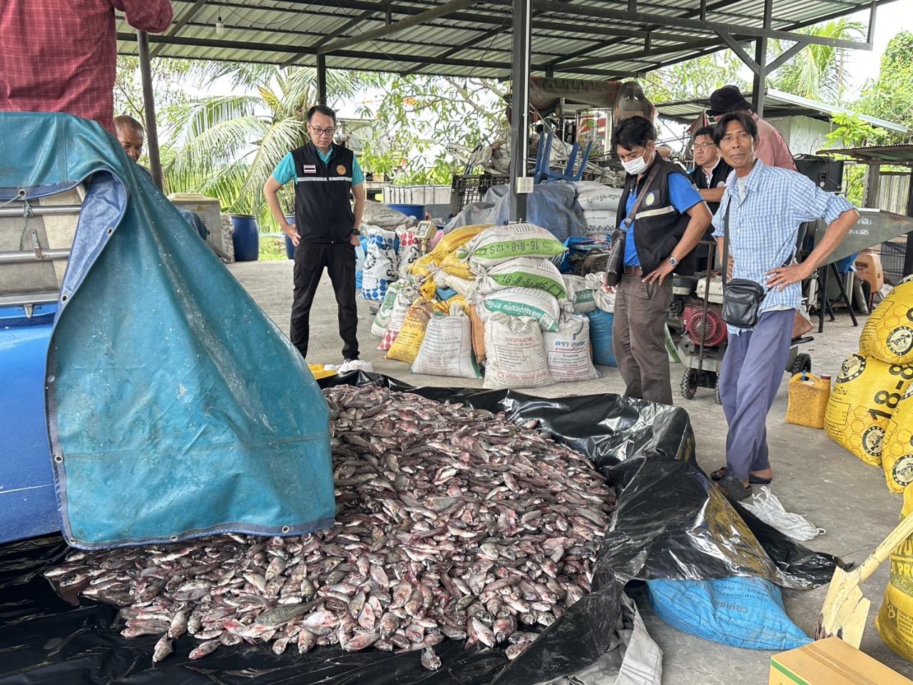 ภาพประกอบที่ 0