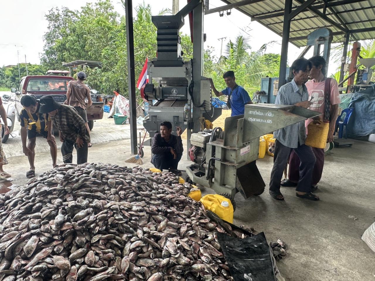 ภาพประกอบที่ 1