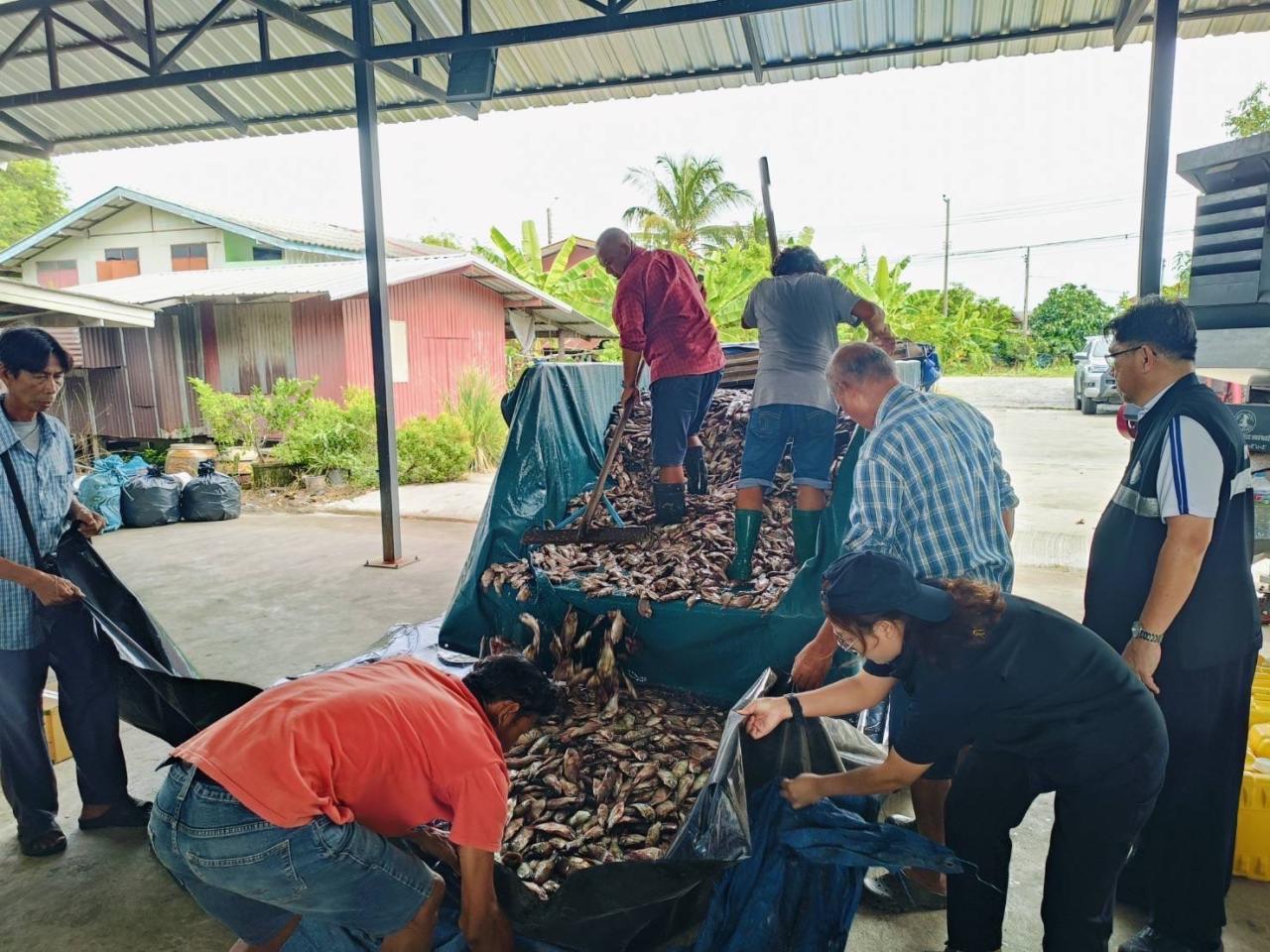 ภาพประกอบที่ 2