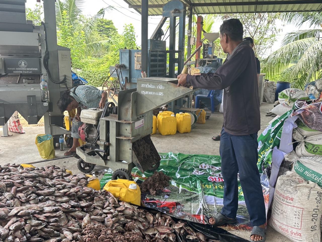 ภาพประกอบที่ 3