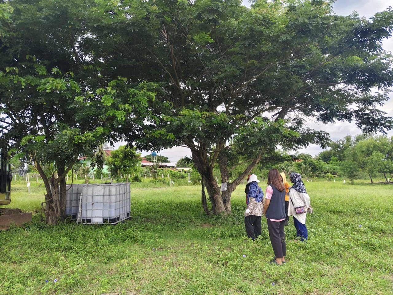 ภาพประกอบที่ 0