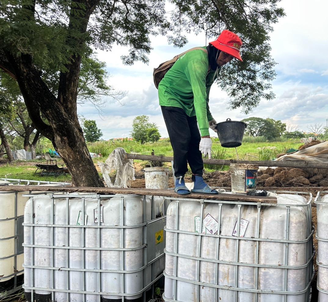 ภาพประกอบที่ 2
