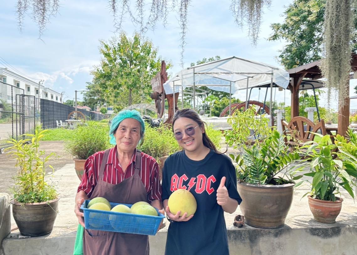 ภาพประกอบที่ 4