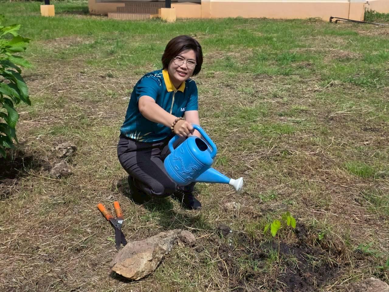 ภาพประกอบที่ 0