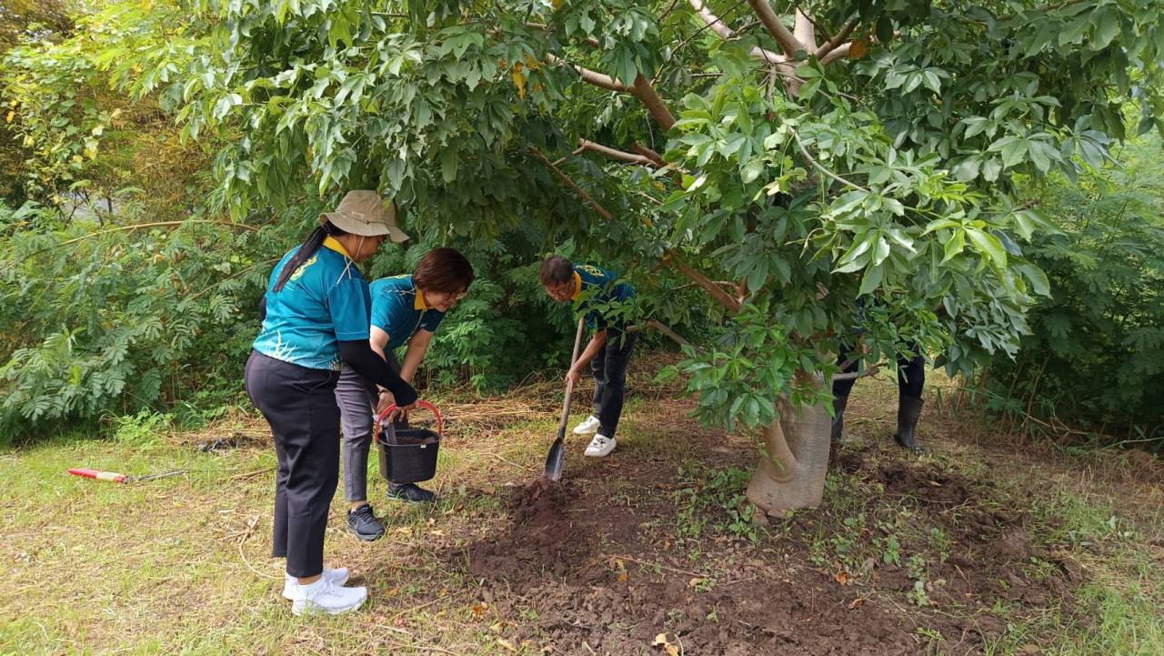 ภาพประกอบที่ 1