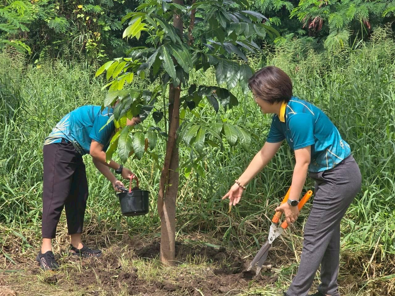 ภาพประกอบที่ 2