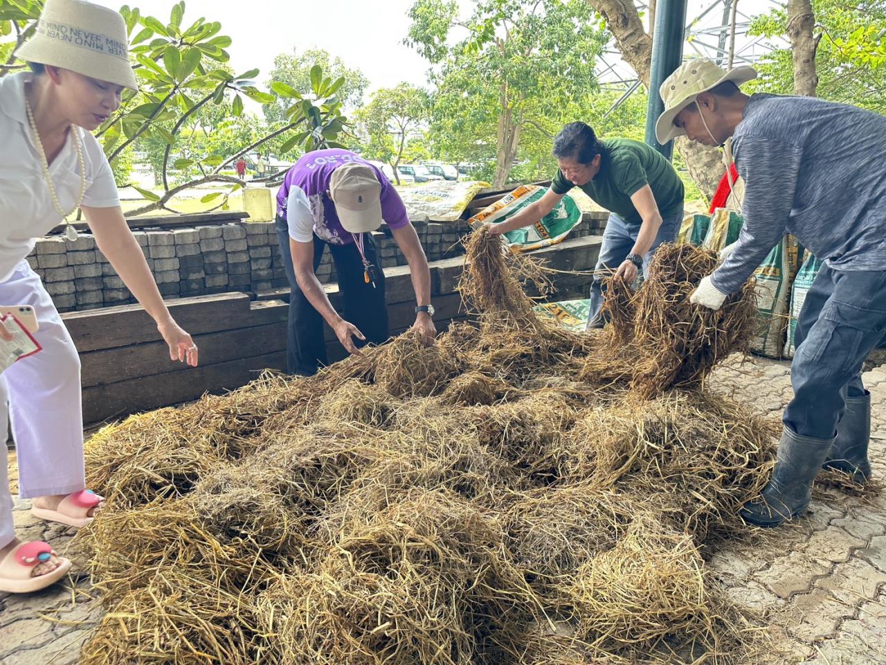 ภาพประกอบที่ 2