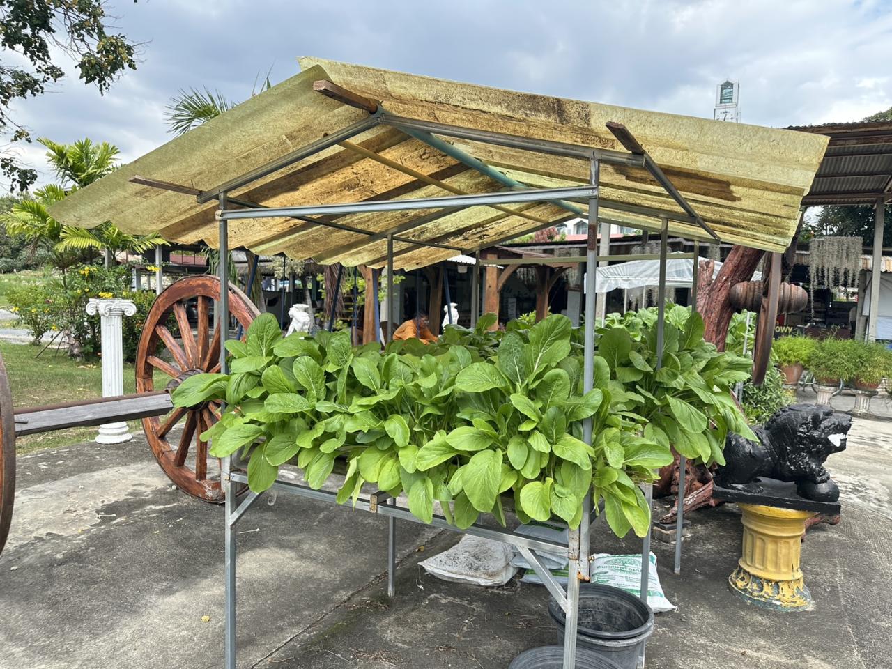 ภาพประกอบที่ 3