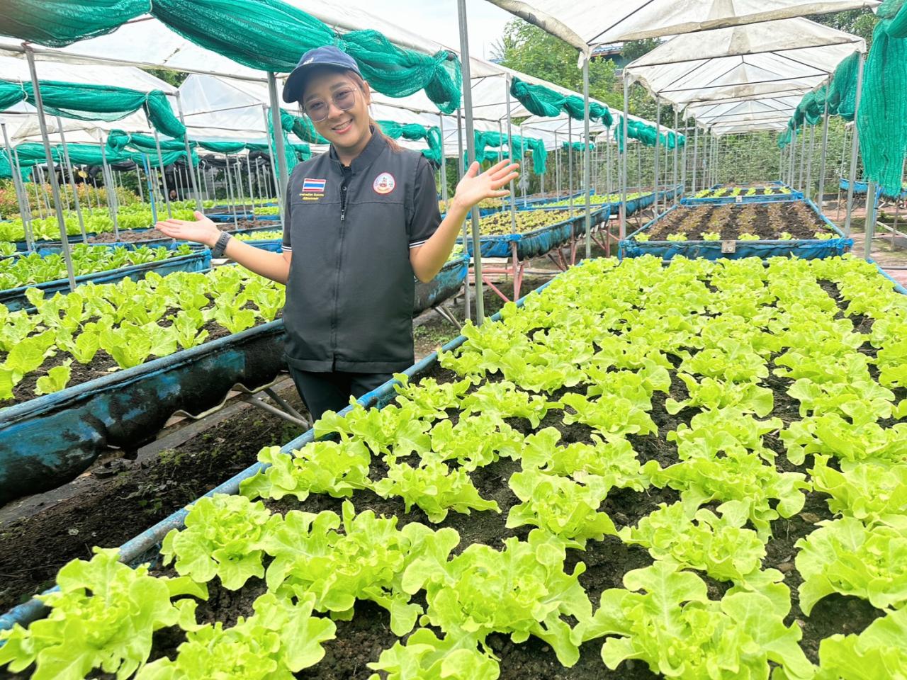 ภาพประกอบที่ 2