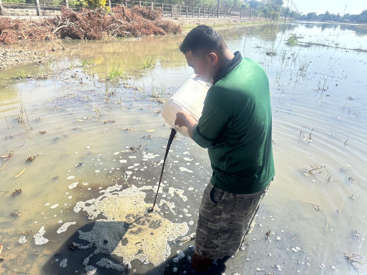 ภาพประกอบที่ 2