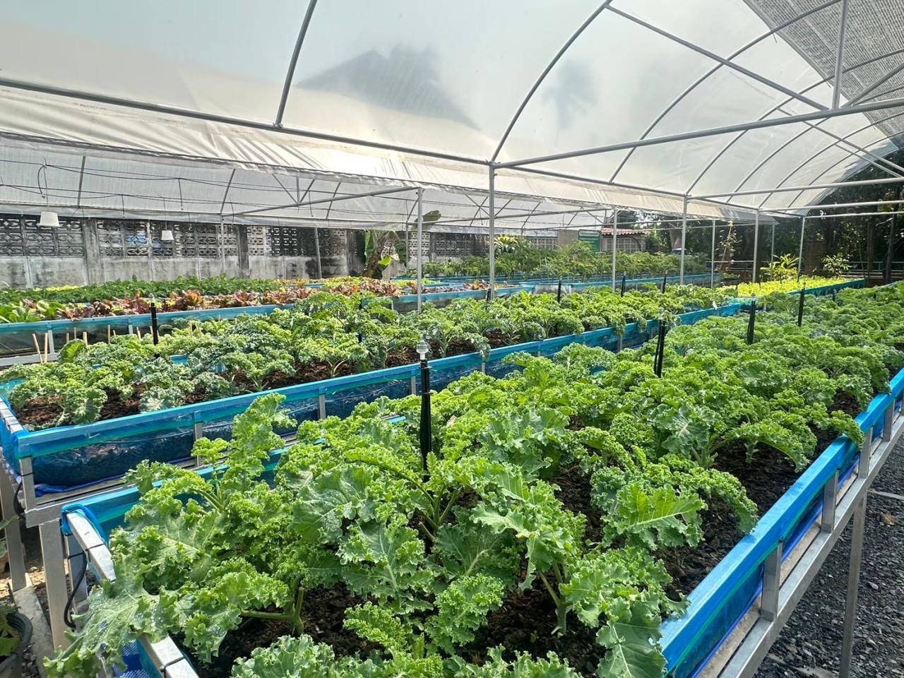 ภาพประกอบที่ 3