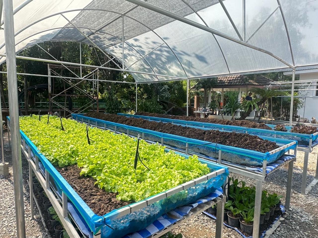 ภาพประกอบที่ 4