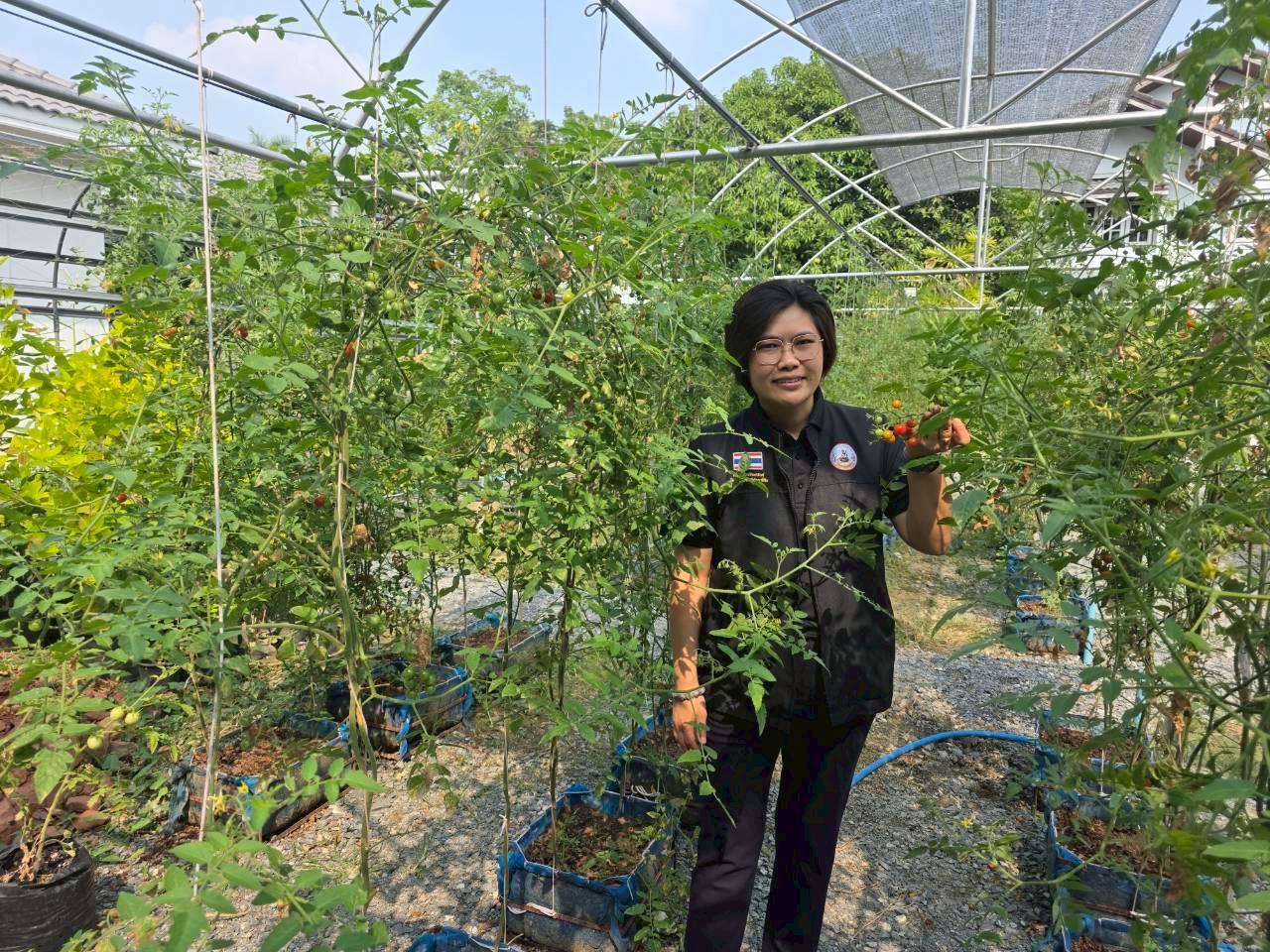 ภาพประกอบที่ 0