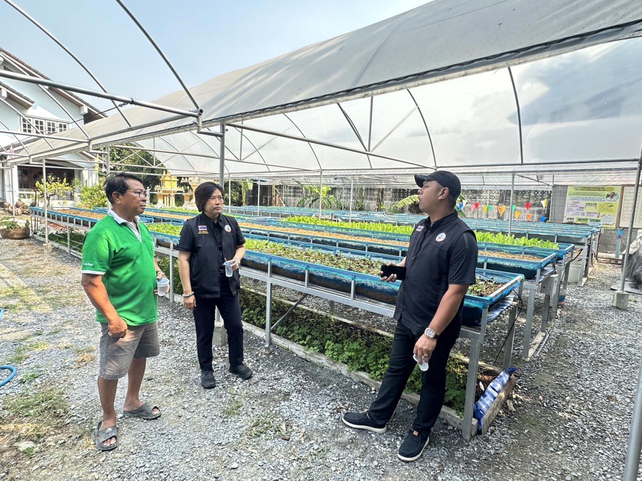 ภาพประกอบที่ 6