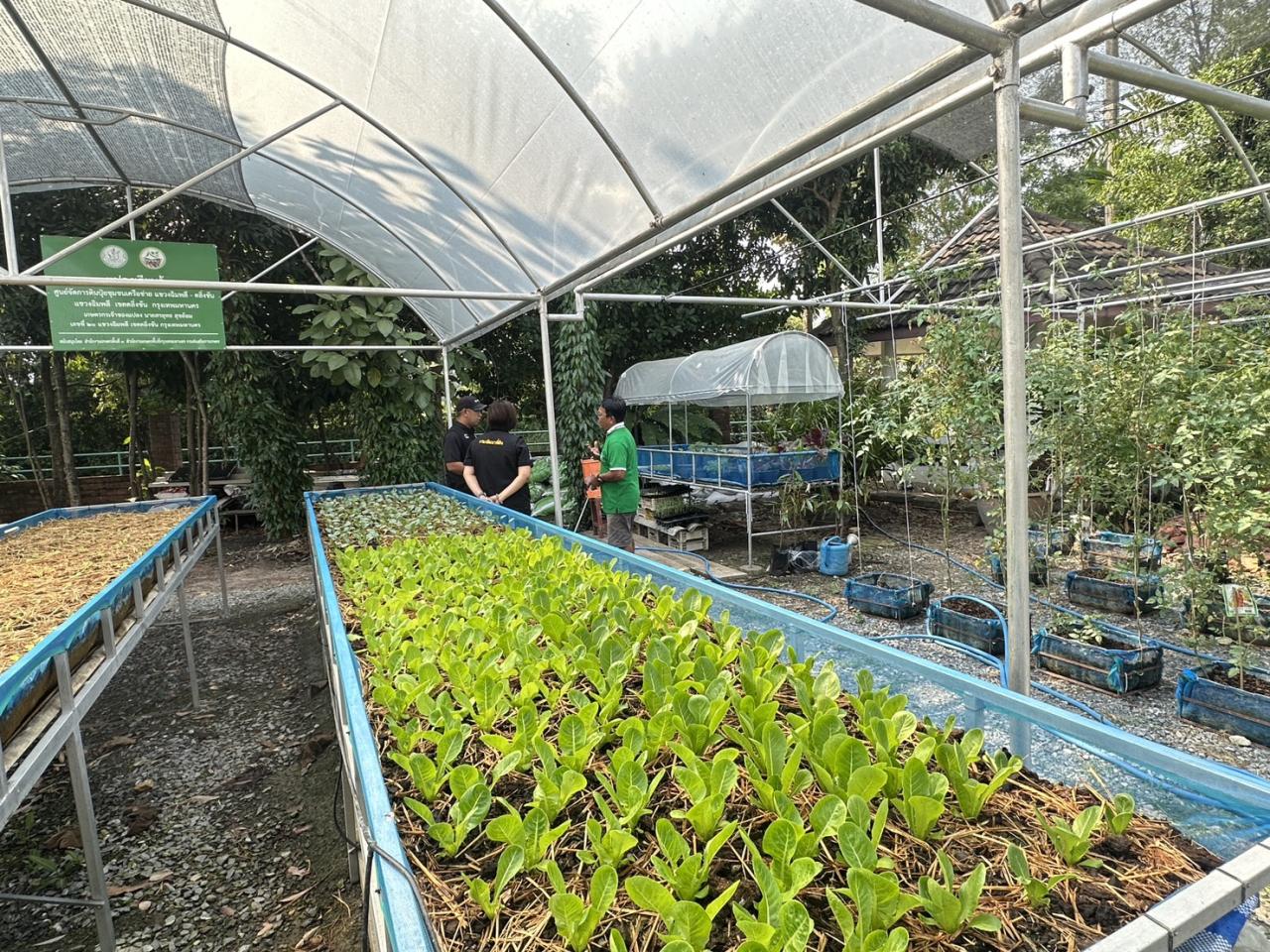 ภาพประกอบที่ 8