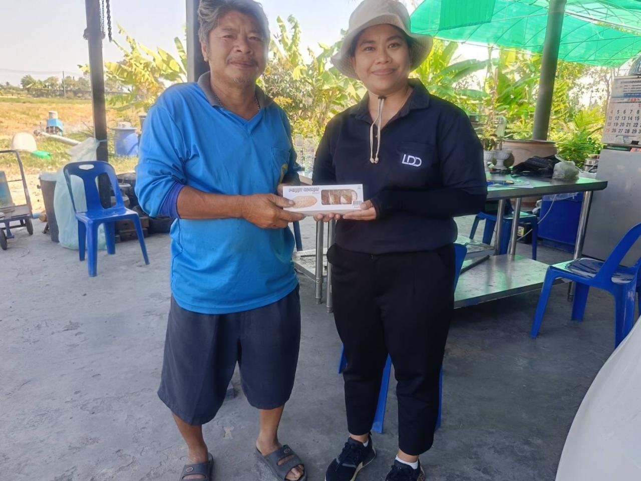 ภาพประกอบที่ 2