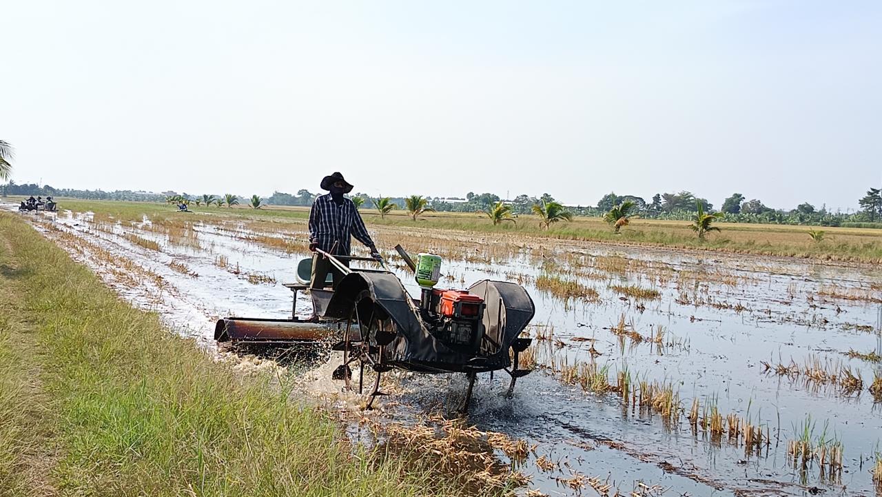 ภาพประกอบที่ 3