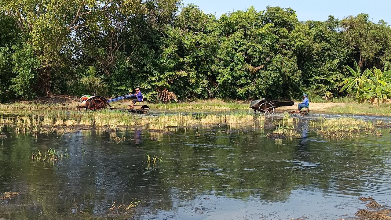 ภาพประกอบที่ 4