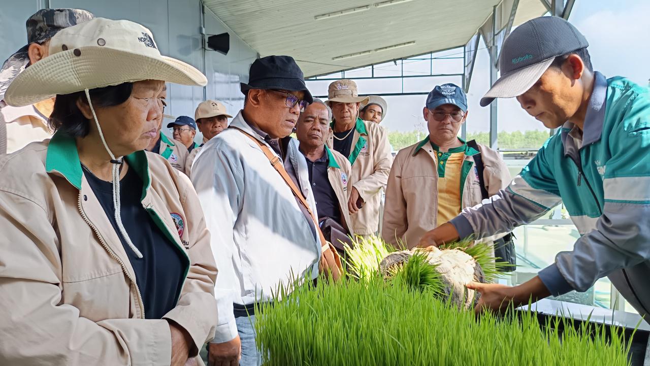 ภาพประกอบที่ 1