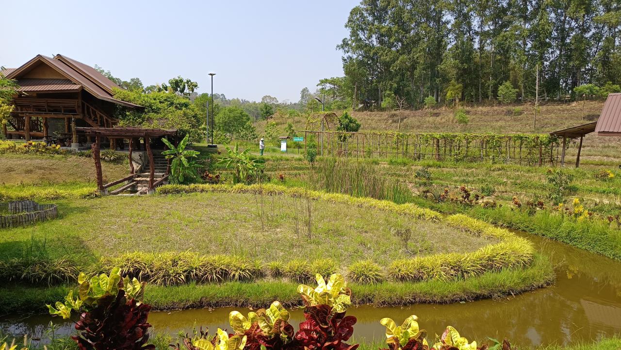 ภาพประกอบที่ 8