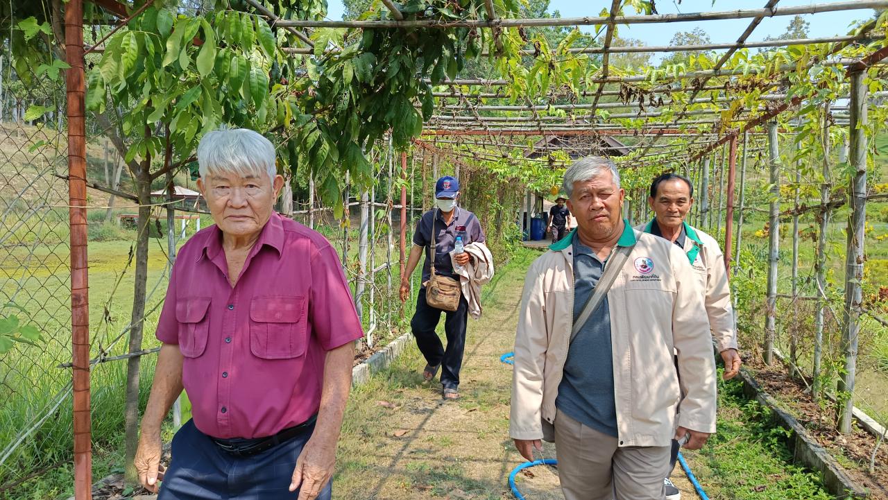 ภาพประกอบที่ 10