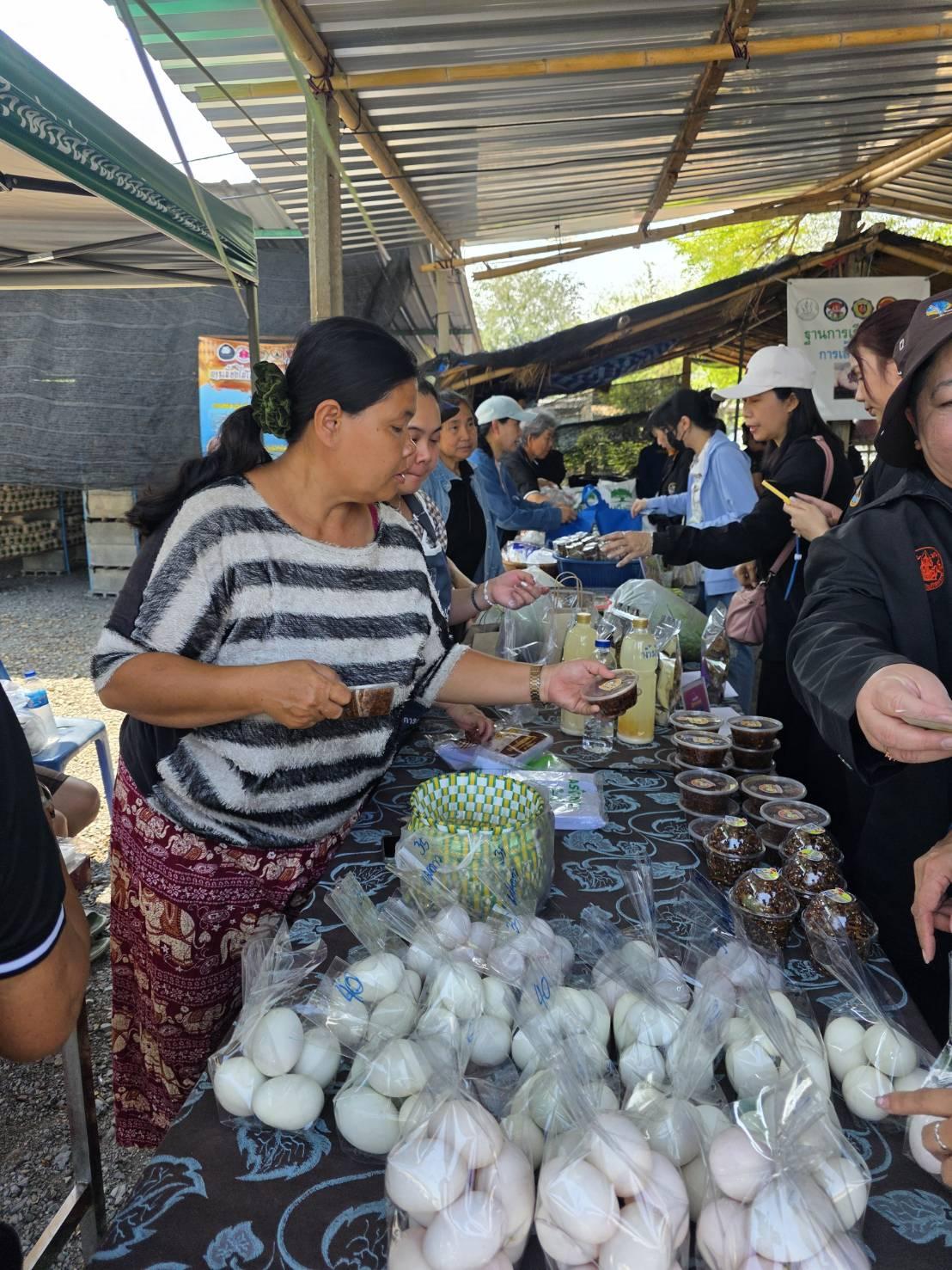 ภาพประกอบที่ 7