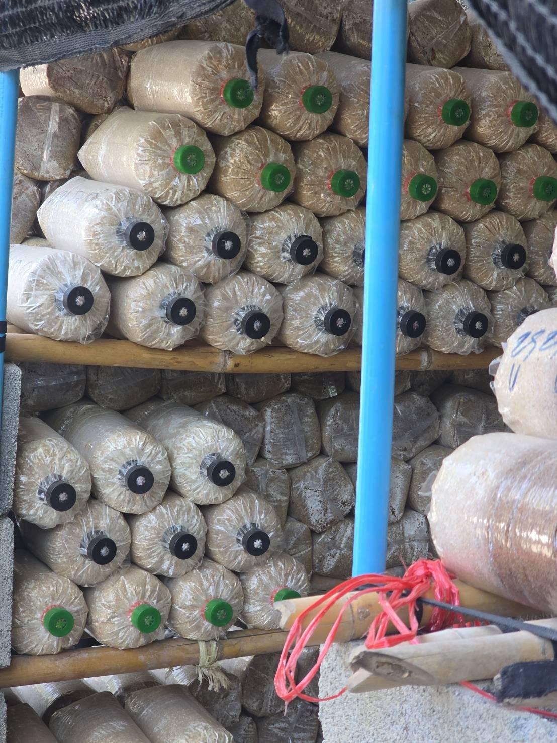 ภาพประกอบที่ 9