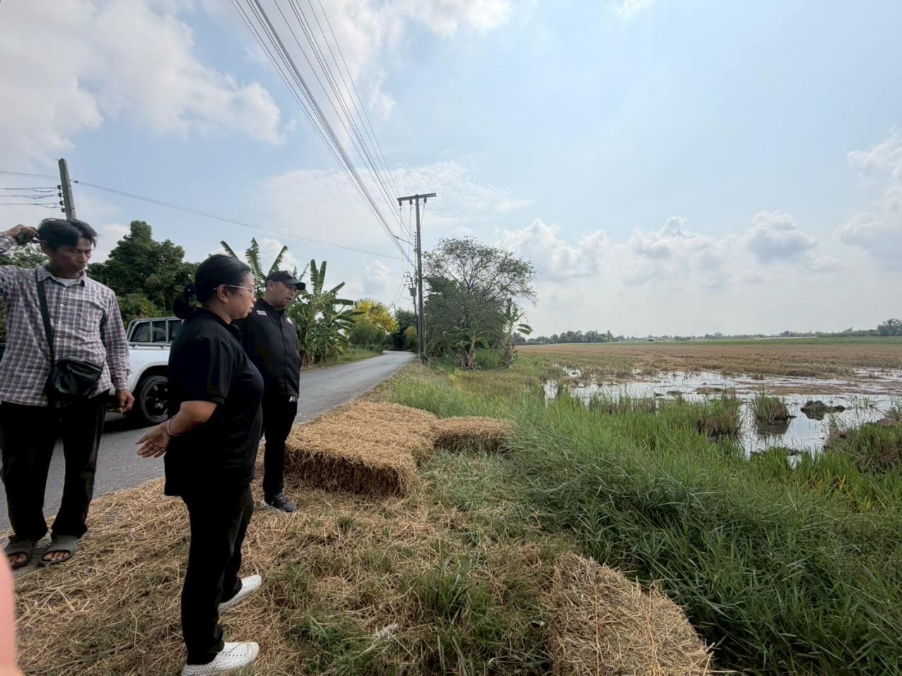 ภาพประกอบที่ 2