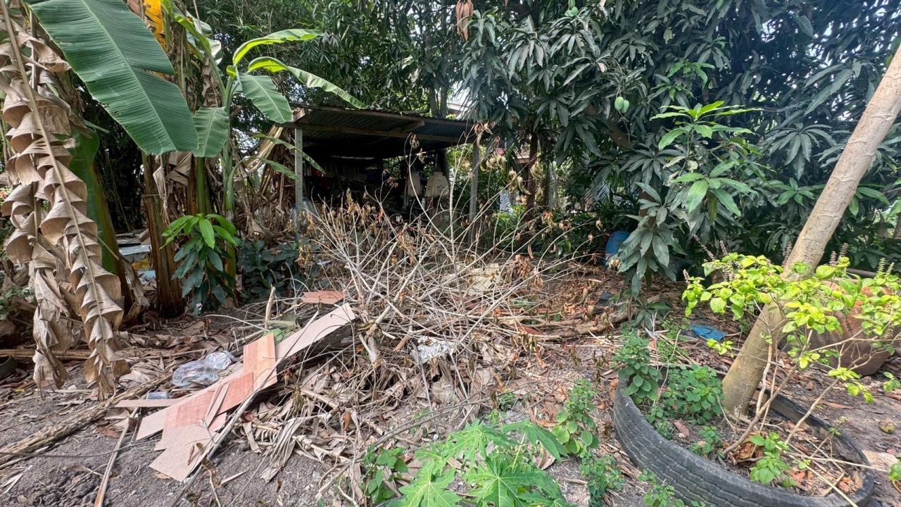 ภาพประกอบที่ 5