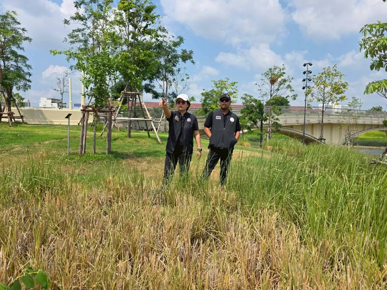 ภาพประกอบที่ 1