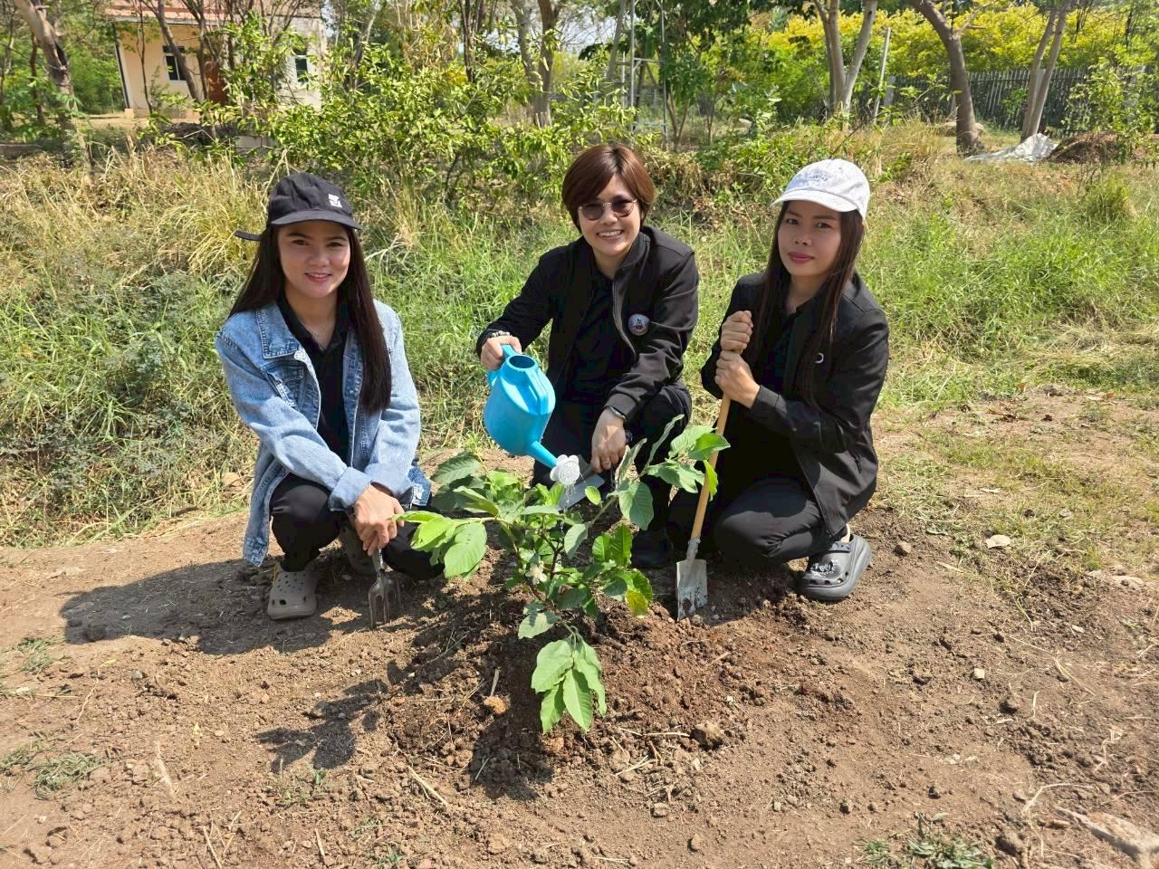 ภาพประกอบที่ 1