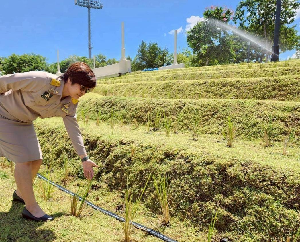 ภาพประกอบที่ 1