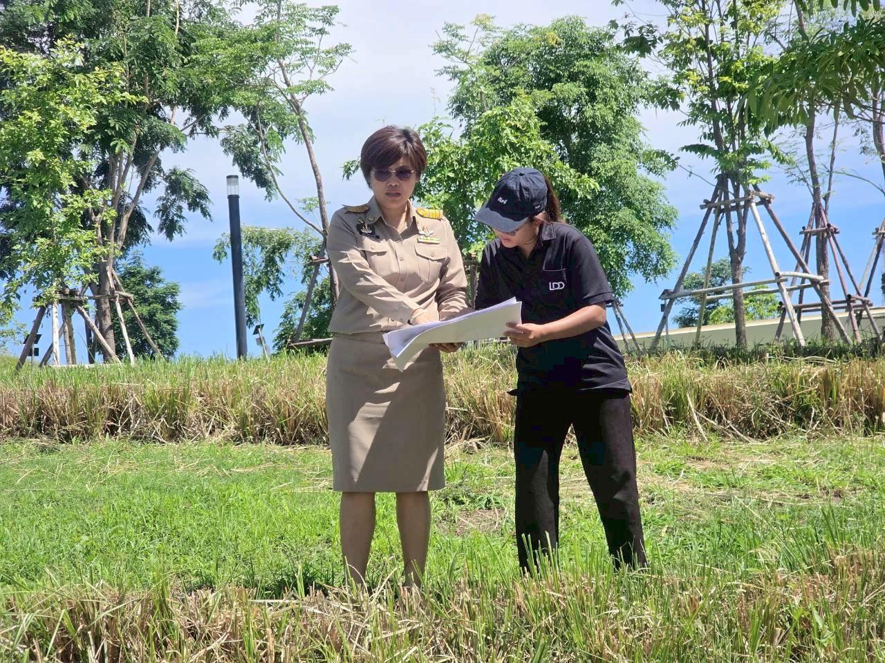 ภาพประกอบที่ 2