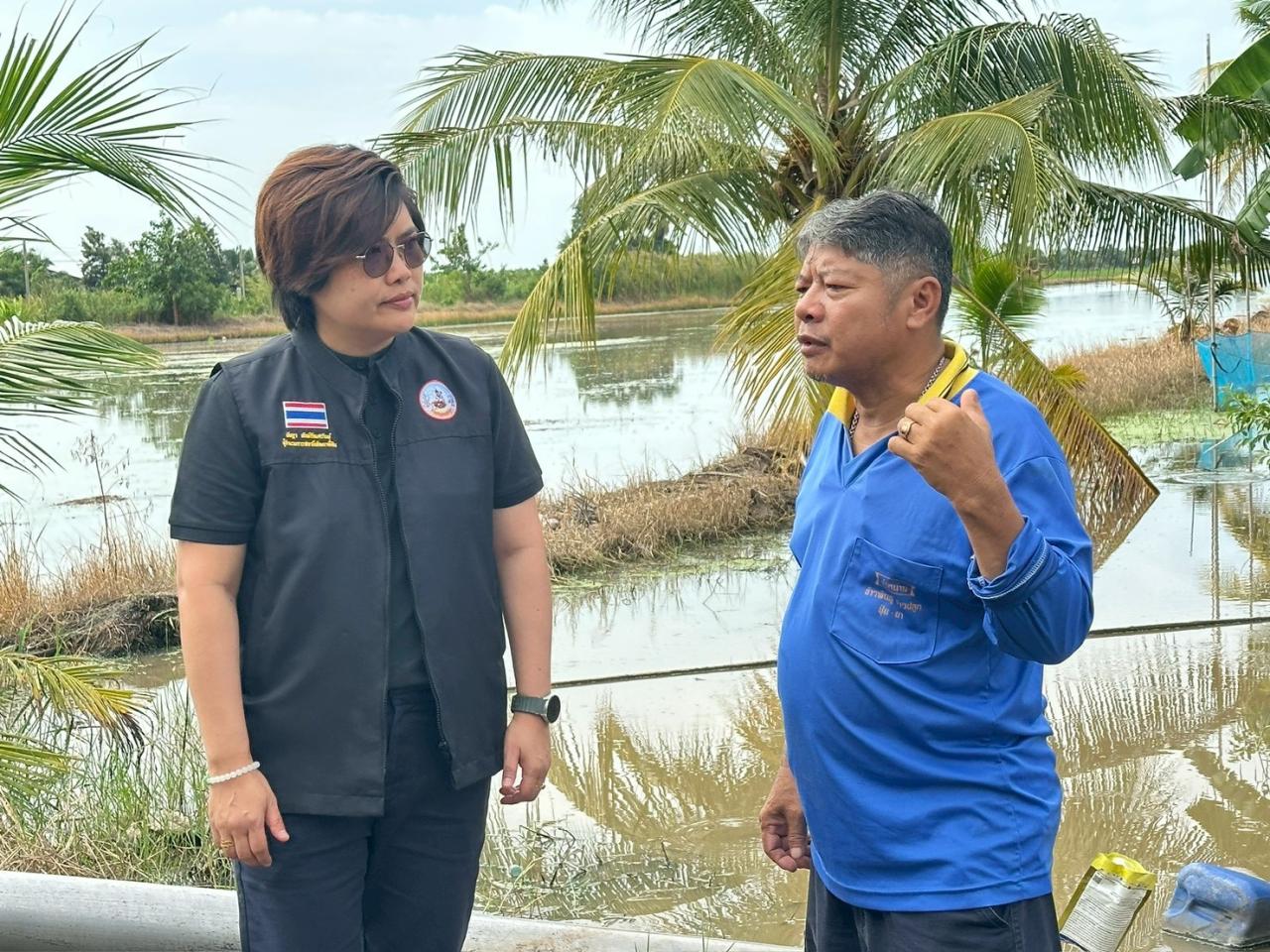 ภาพประกอบที่ 1