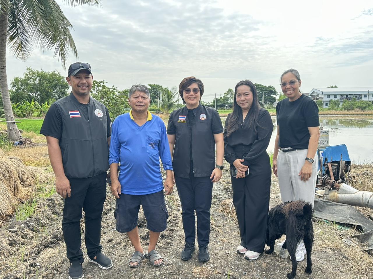 ภาพประกอบที่ 0