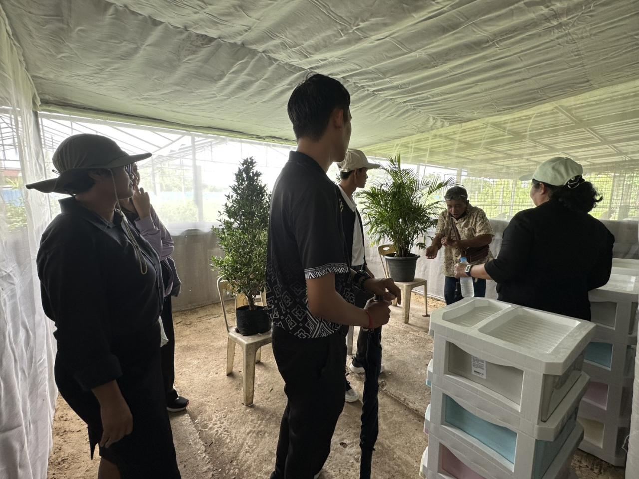 ภาพประกอบที่ 15