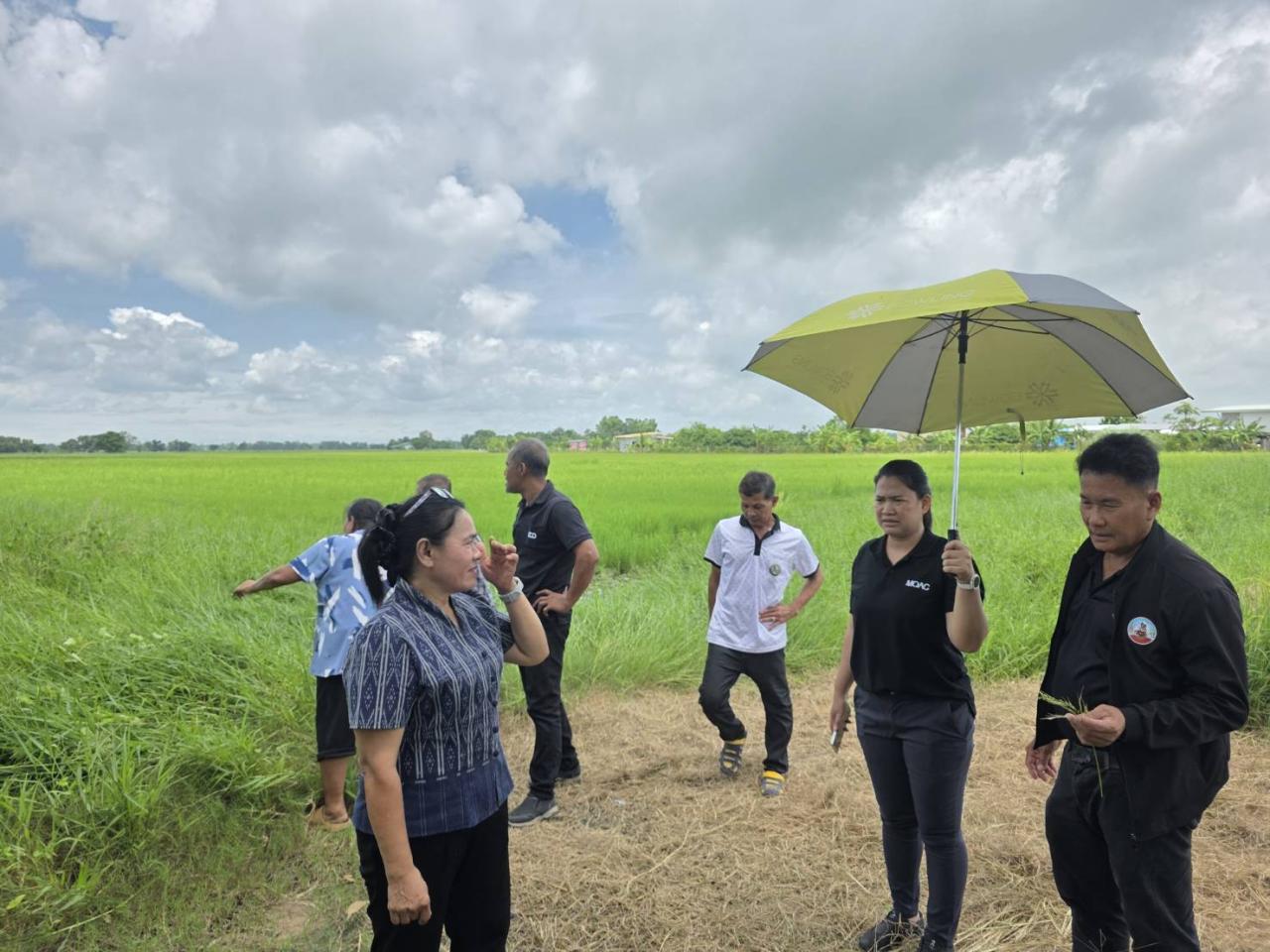 ภาพประกอบที่ 4