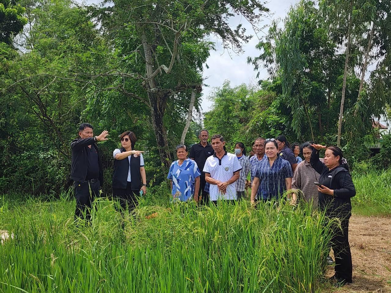 ภาพประกอบที่ 6