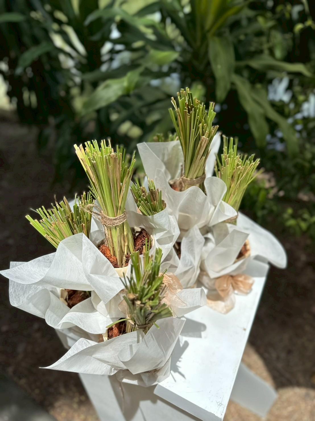 ภาพประกอบที่ 7