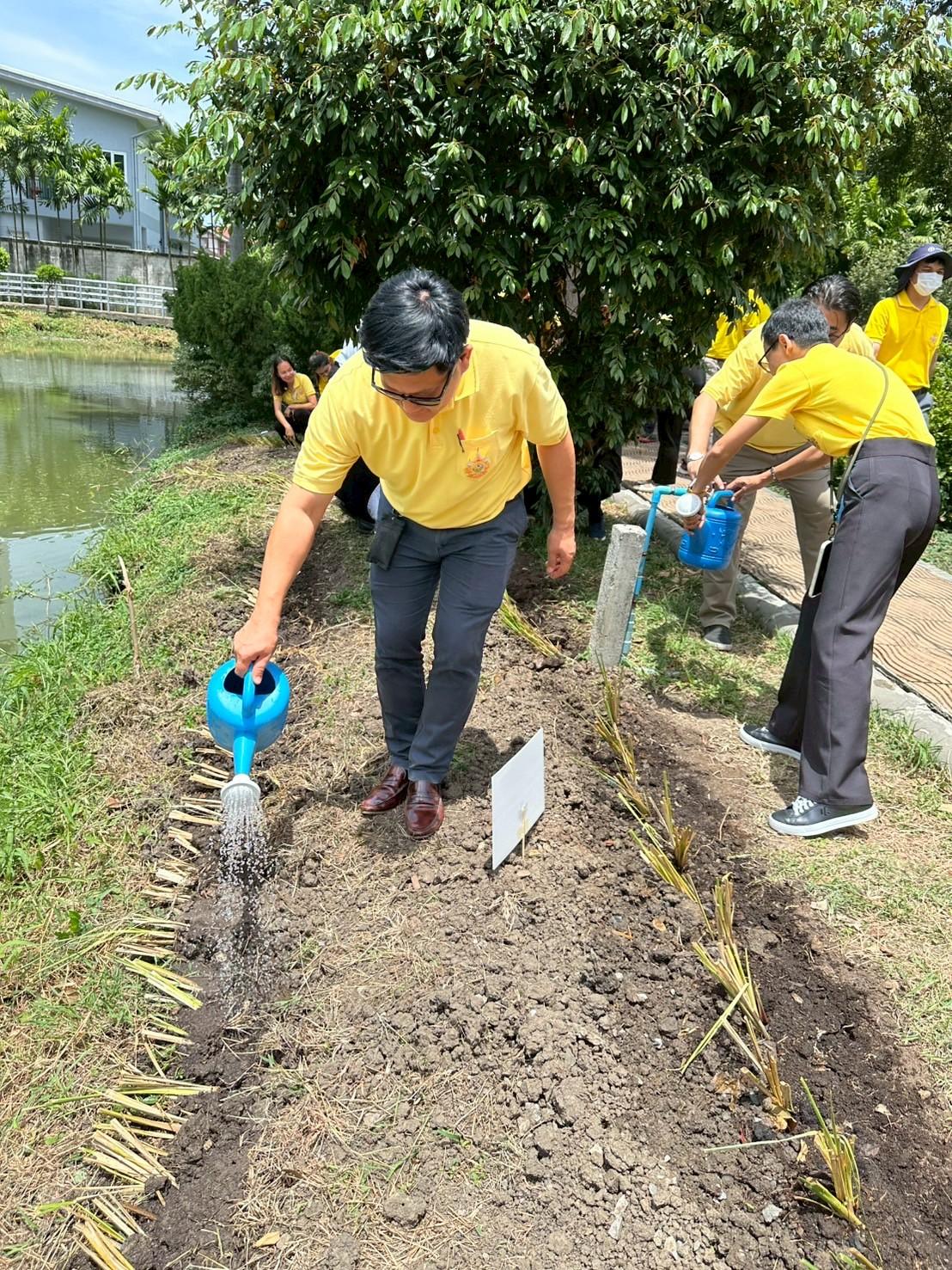 ภาพประกอบที่ 9
