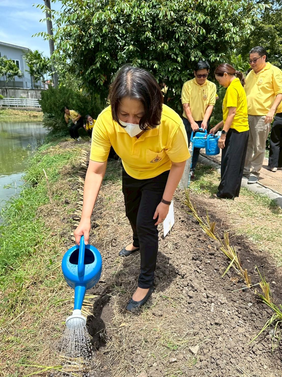 ภาพประกอบที่ 10