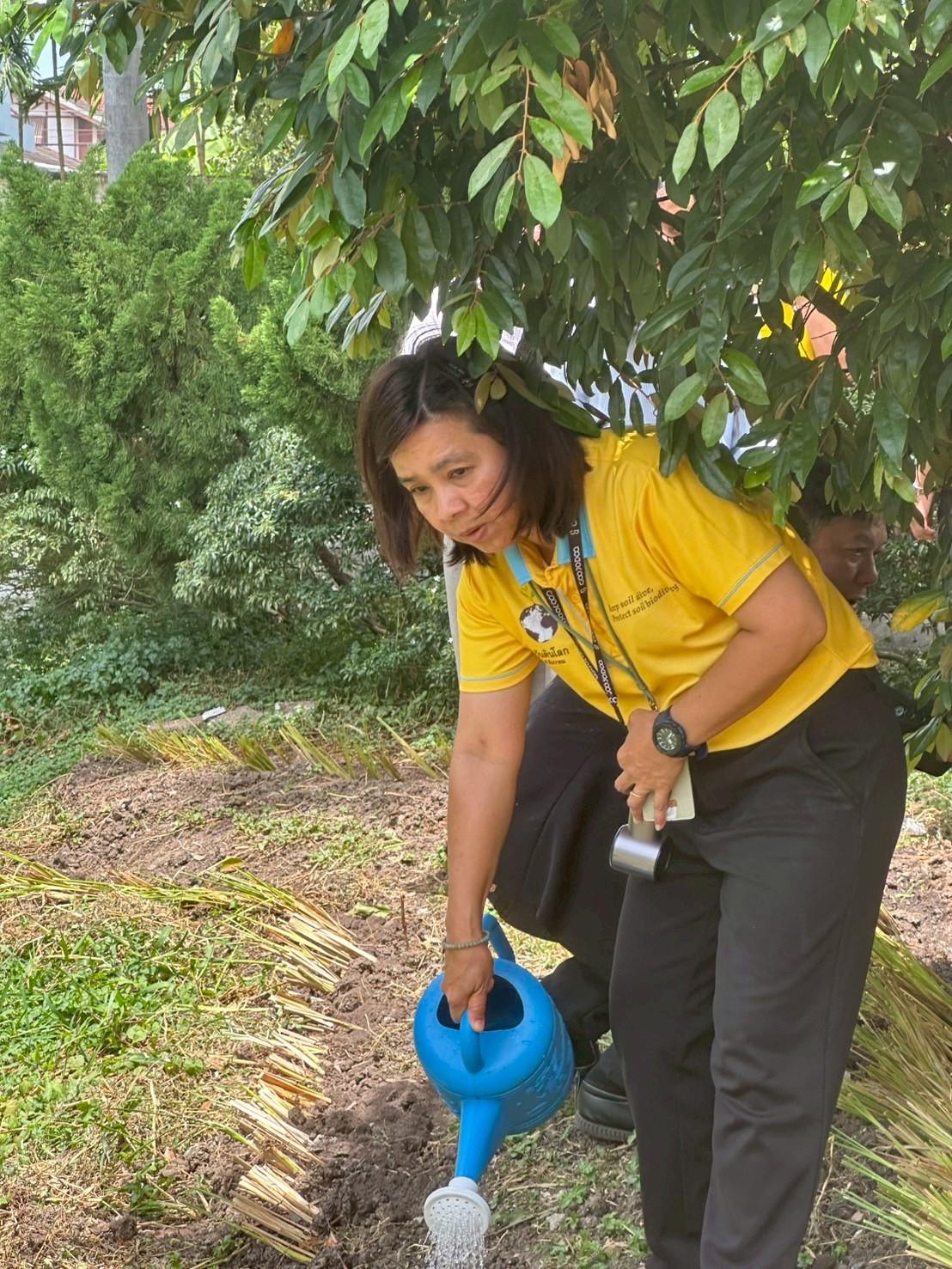 ภาพประกอบที่ 11