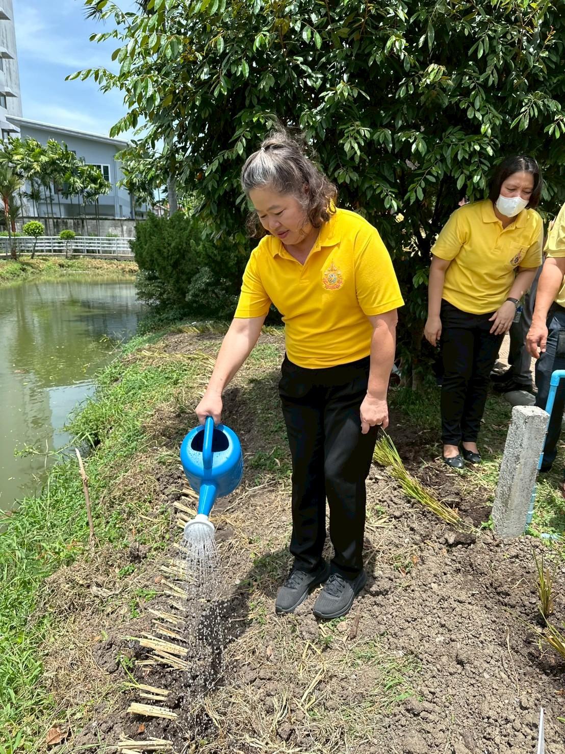 ภาพประกอบที่ 12