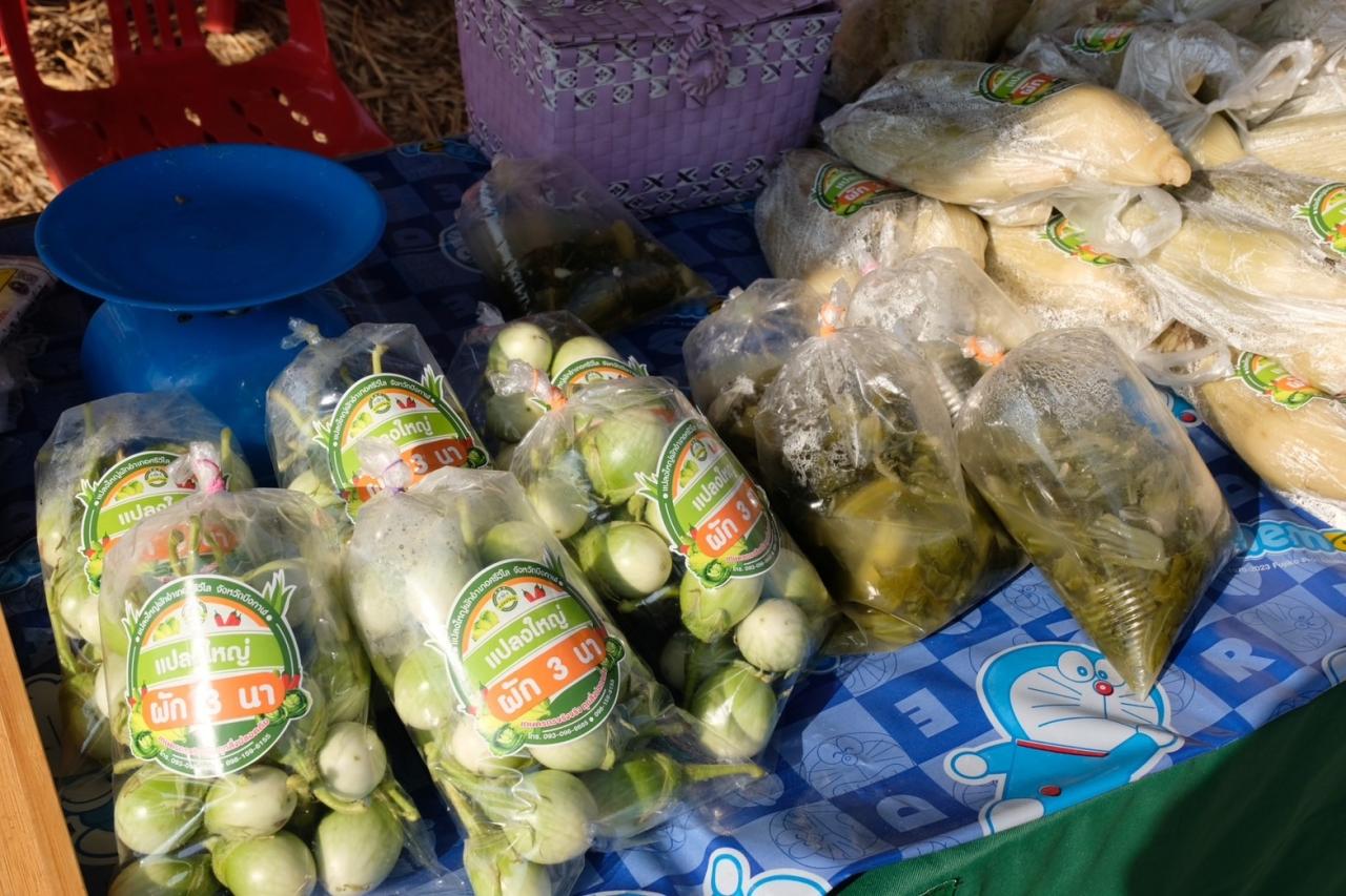 ภาพประกอบที่ 14