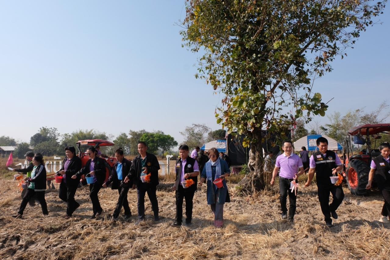 ภาพประกอบที่ 17