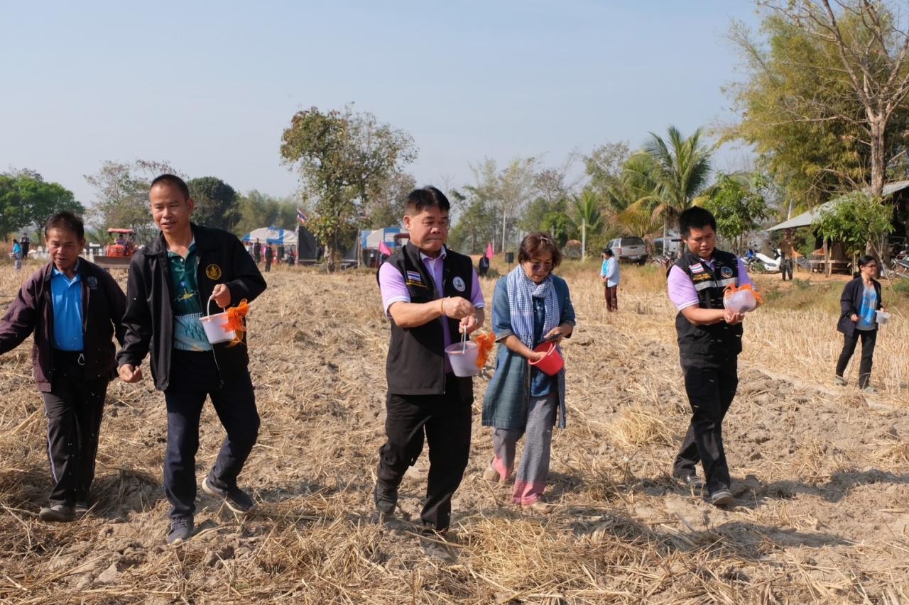 ภาพประกอบที่ 19