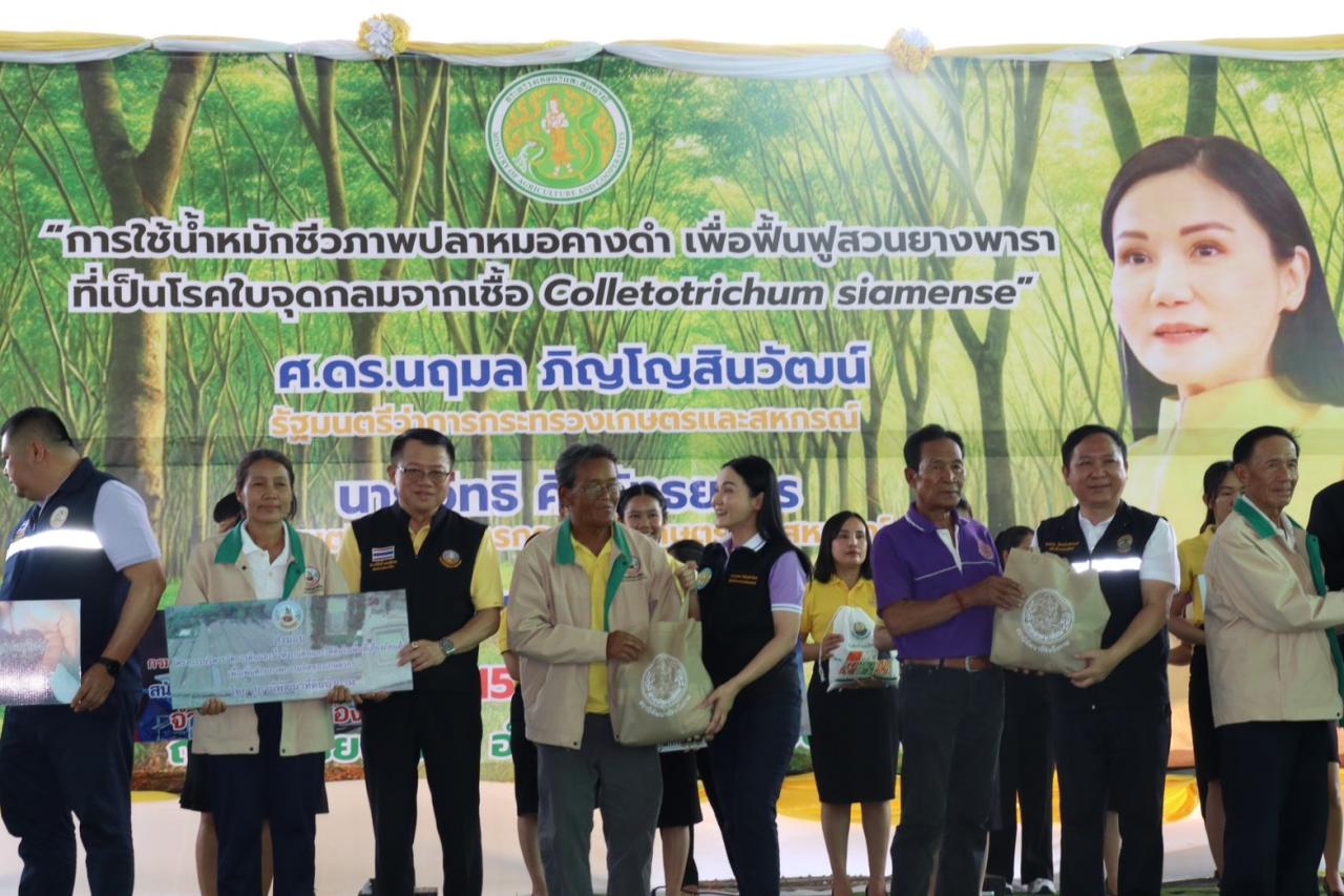 ภาพประกอบที่ 6