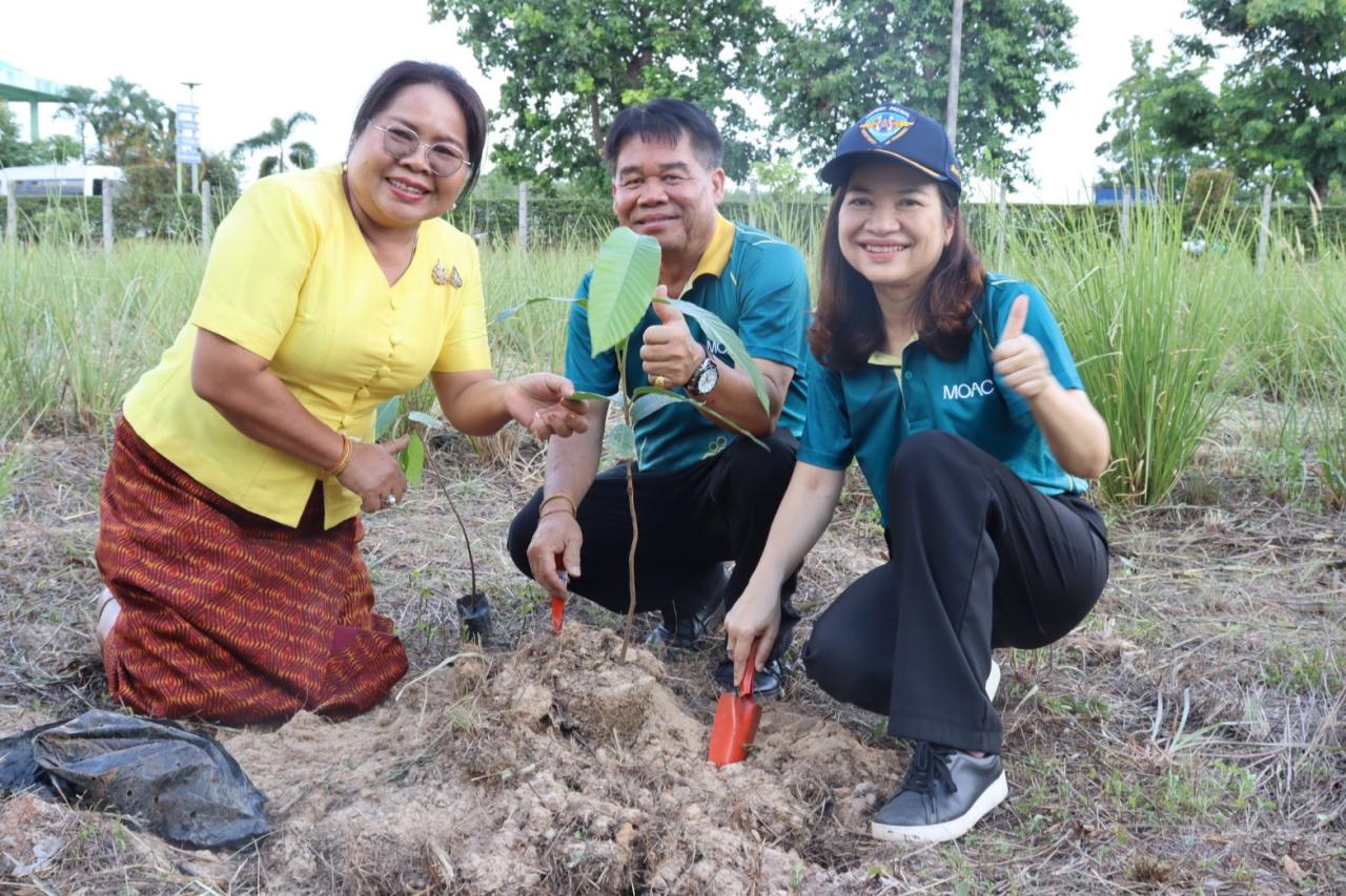 ภาพประกอบที่ 1