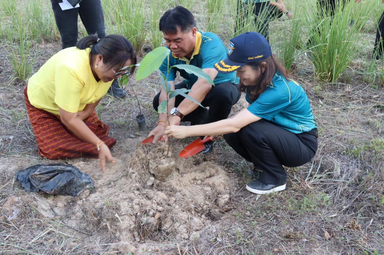ภาพประกอบที่ 2