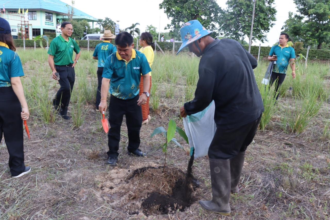 ภาพประกอบที่ 3